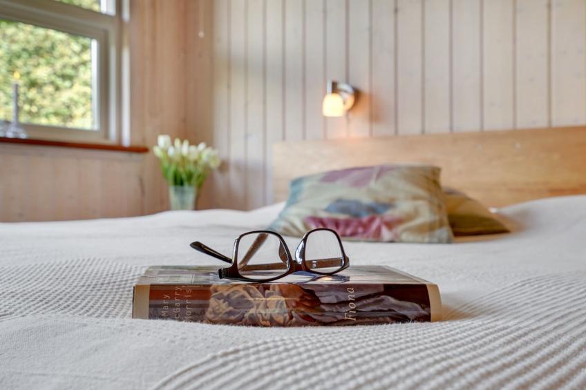 "Krister" - 250m to the inlet in The Liim Fiord - foto 19