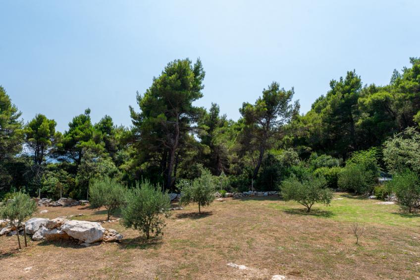 Dundo House - foto 31