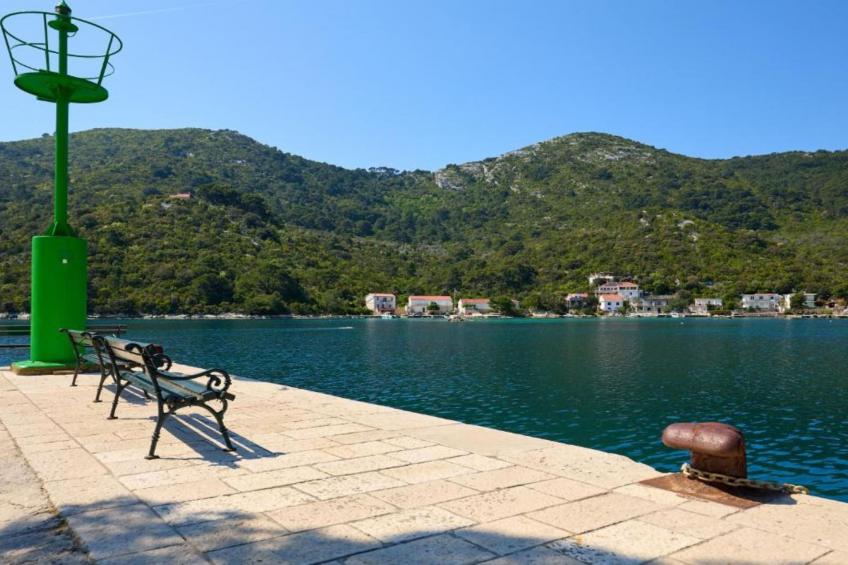 Apartments Franka Saplunara-Double Room with Terrace and Sea View - foto 18