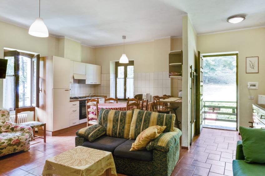 Rododendro - foto 10