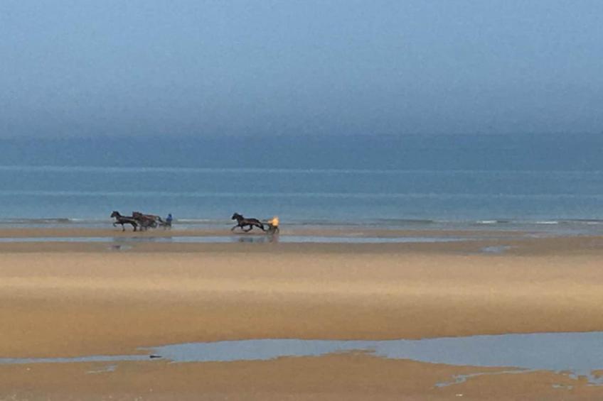 Domaine des Dunettes - foto 26