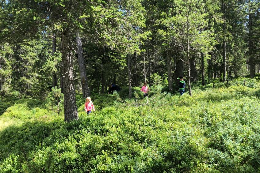 Sunny retreat - foto 17