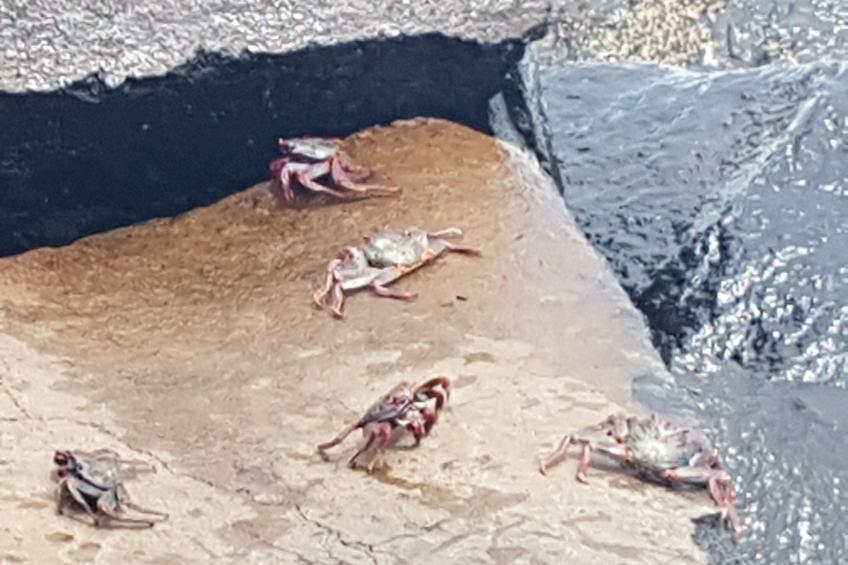 für 6 Personen ca. 90 m - foto 38