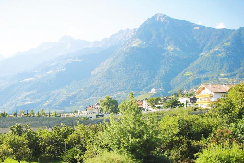 Apartments Etschland, Dorf Tirol - Type A - foto 13