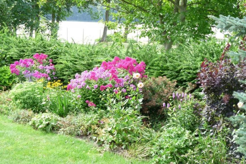 Glücksurlaub am See - foto 16