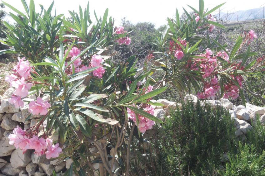 Appartement mit Blick auf das Wasser - foto 33