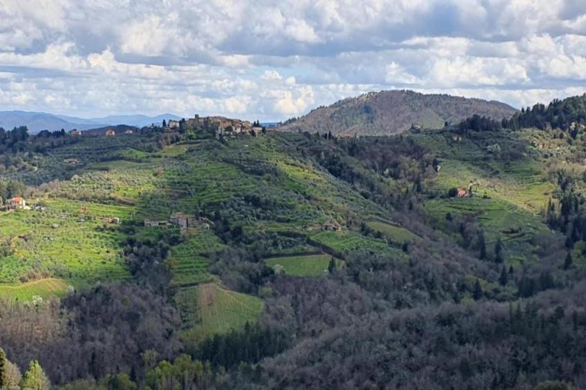 Il Solatio apt P1 - foto 34