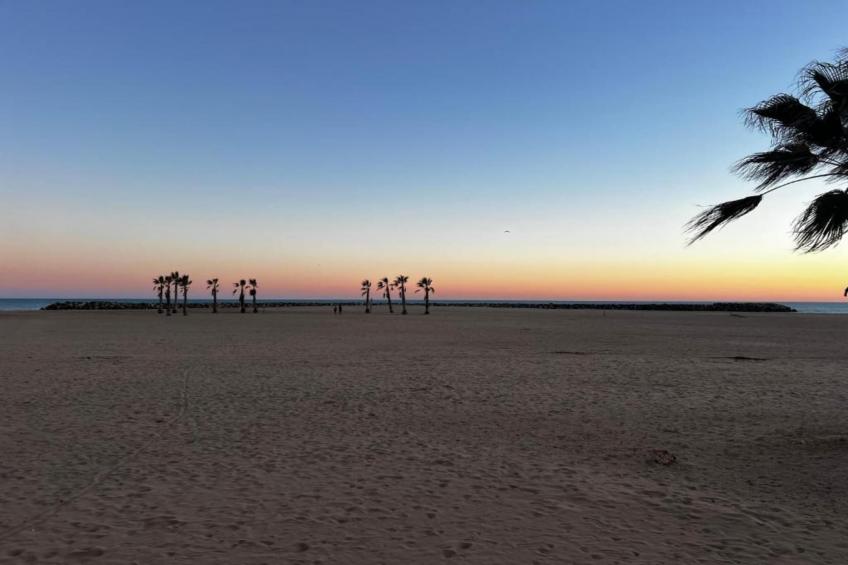 La Dune N°55 - Villa 3P6 - foto 33