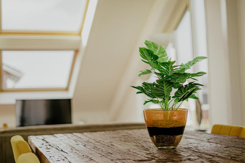 Waterpark de Meerparel 12 - foto 35