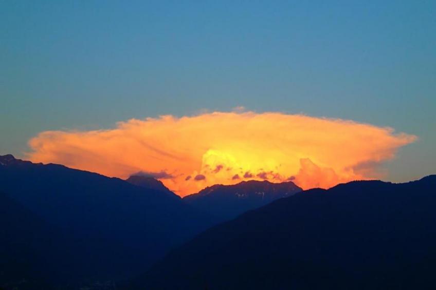 La Ferme de Noémie - foto 37