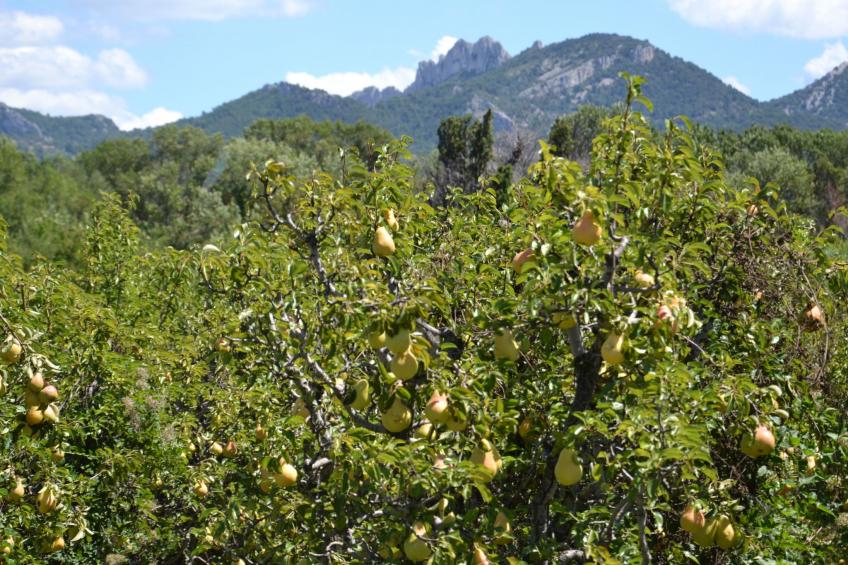 Charmantes Bauernhaus in der Provence - foto 25