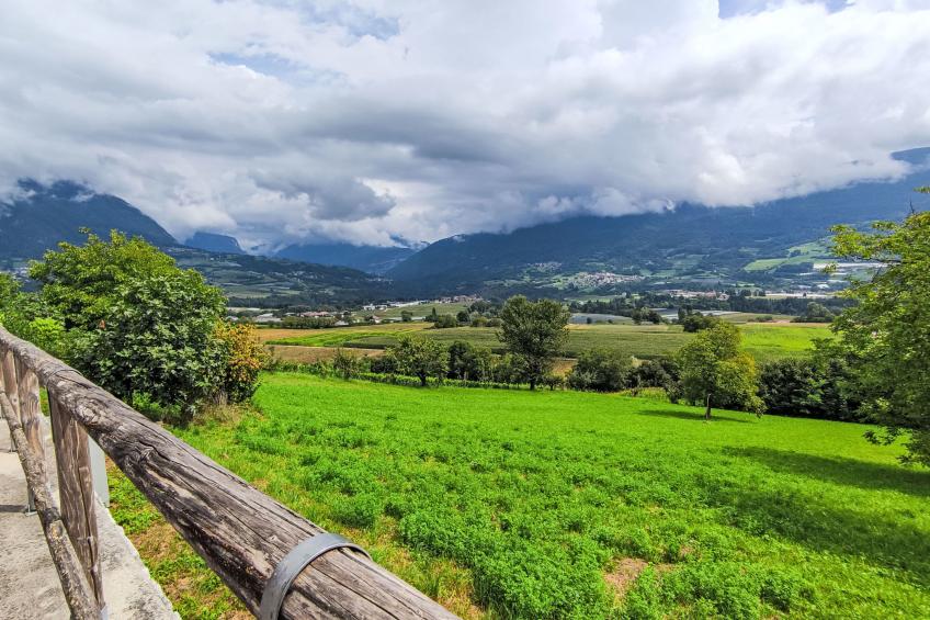 Picchio Autunno - foto 32