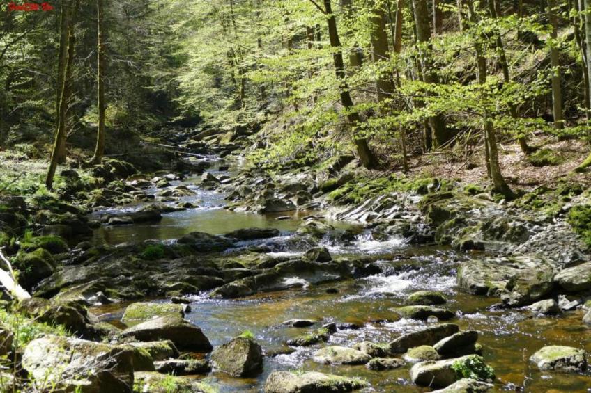 Geyersberg Freyung-Typ B Komfort - foto 35