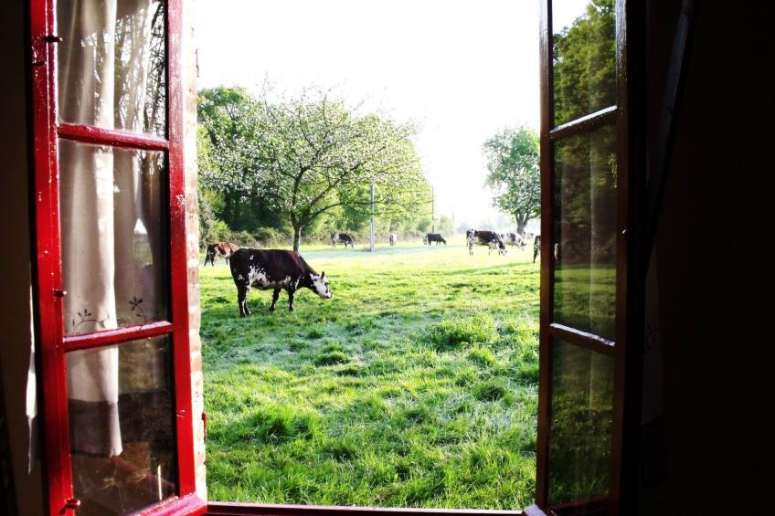 "La Petite Cauvinière" - foto 15