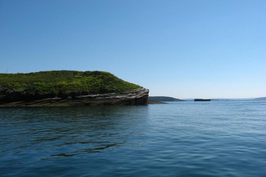 Haus auf der Halbinsel Plougastel - foto 20