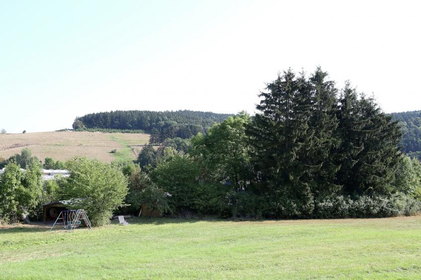 Grabenhaus - foto 28