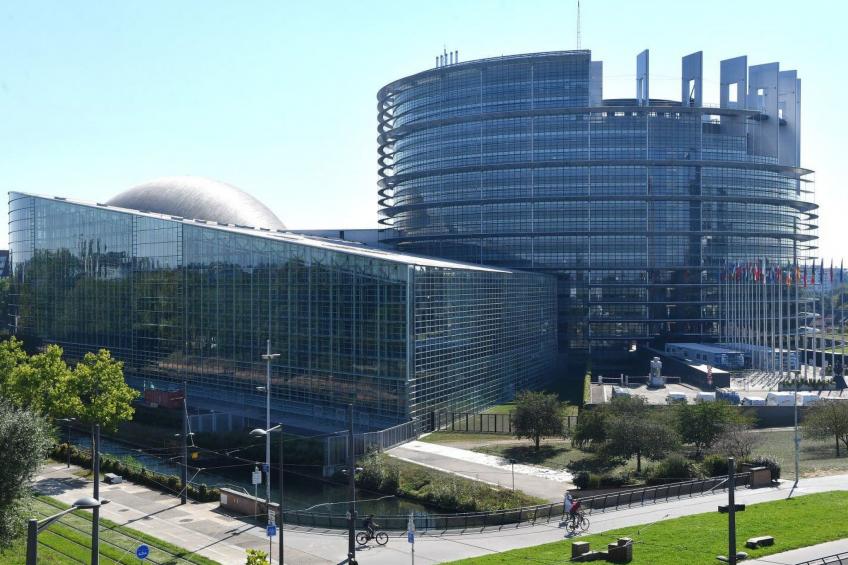 Wohnung "Terre d'Hélène" und Garten - foto 29