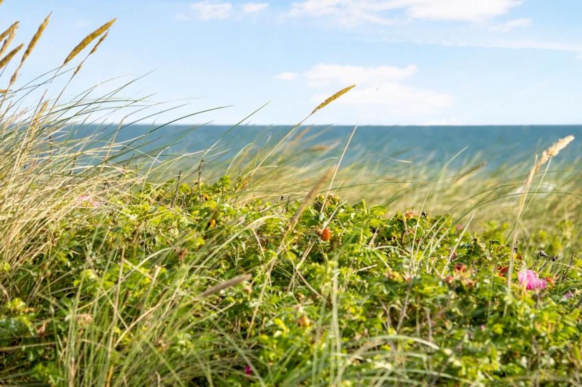 "Ebba" - 25m from the sea in NW Jutland - foto 20