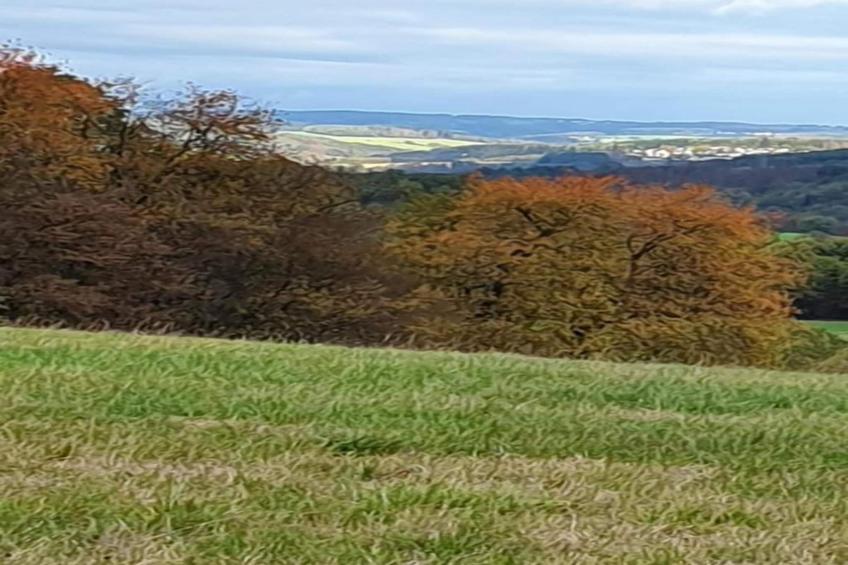 Im Westerwald - foto 28
