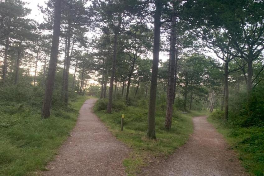 Residentie Californië - foto 22