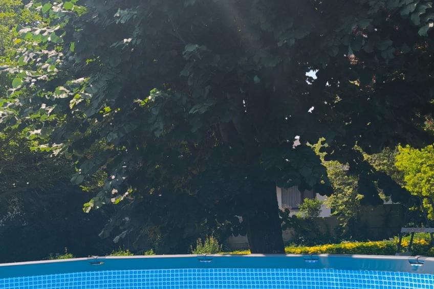 9 Zimmer. 24 pro. Strand. In der Nähe von Bilbao - foto 27