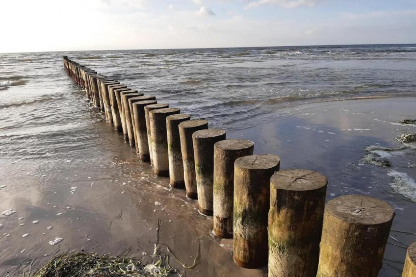 Appartementen Post Hiddensee, Vitte - Type A - foto 28