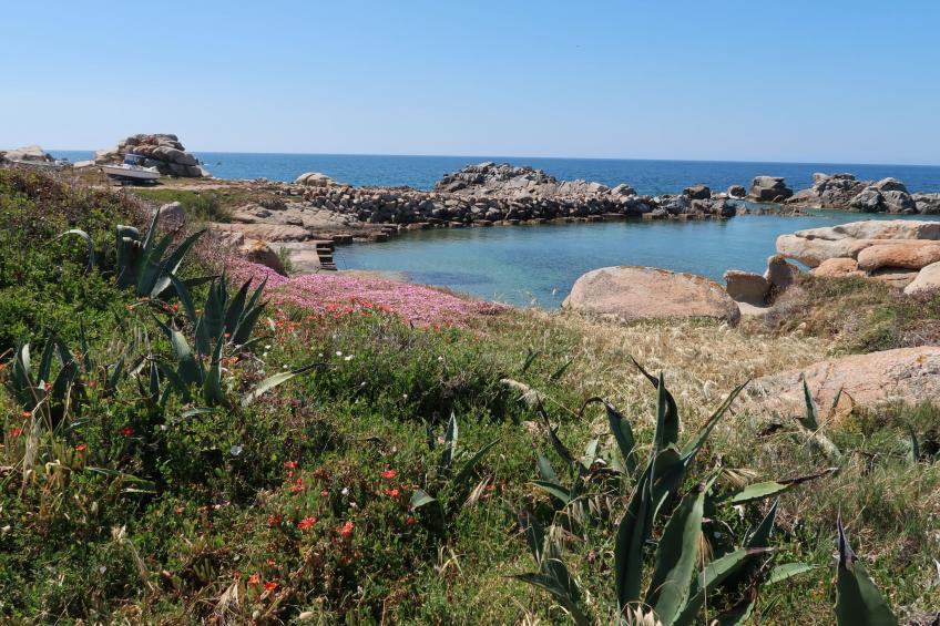 Maximilian - foto 33