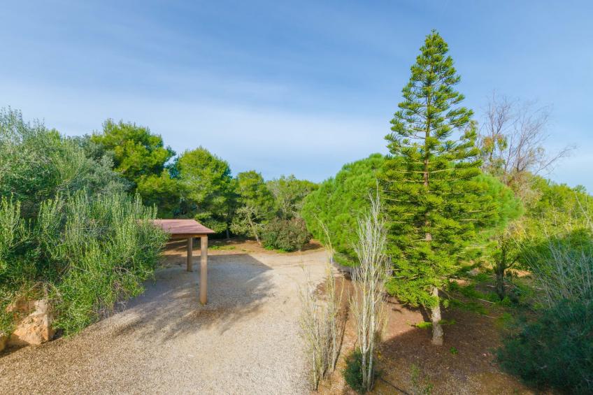 Es Figueral - foto 44