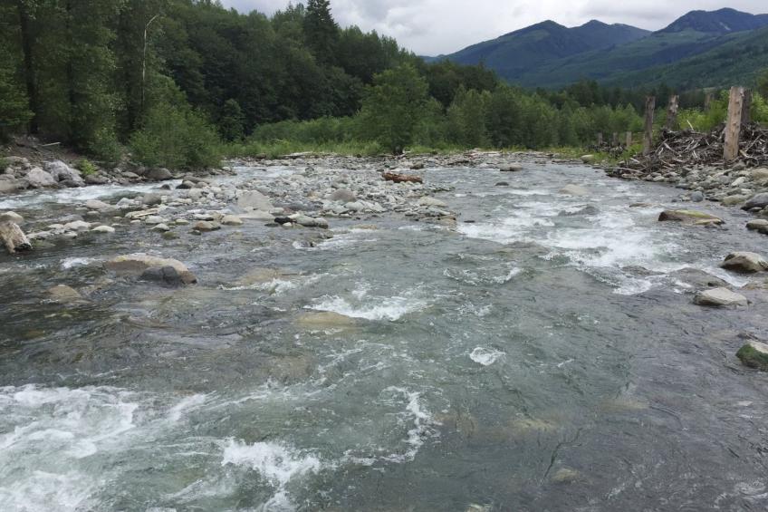 Historisches Blockhaus - foto 28