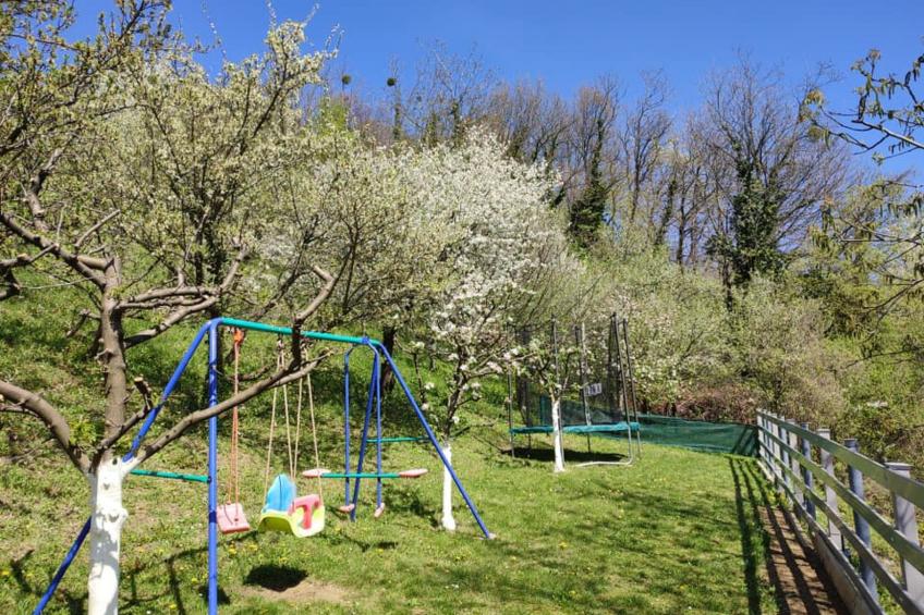 House Hiža&Vila - foto 5