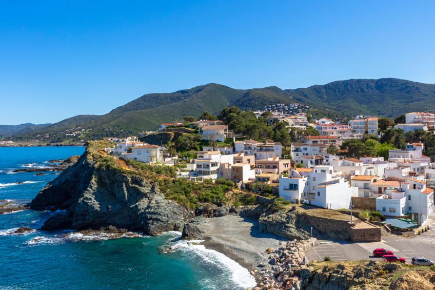 Palmiers 01 - foto 28