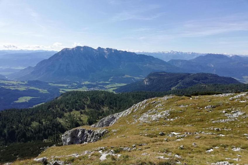 Panorama - foto 31