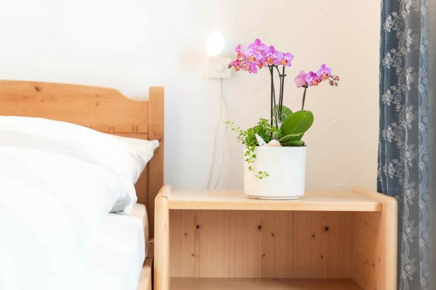 Chesa Michel Bernina - foto 24