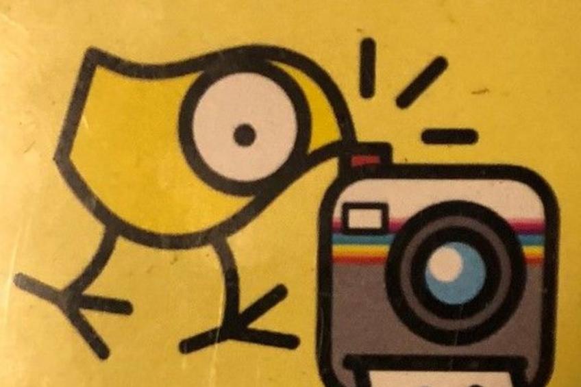 in Panoramalage in Solto Collina - foto 29