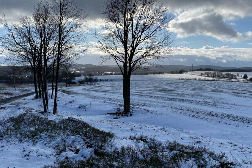 Gästehaus Siebert - foto 28