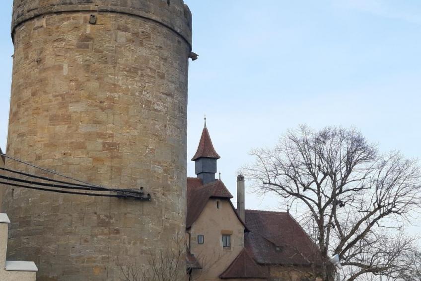 in Viereth mit Garten und Terrasse - foto 24