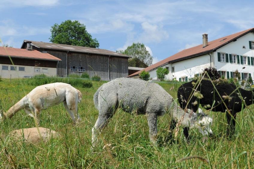 Gîte - Ferme O'Clés, (Le Cerneux-Veusil), - foto 15