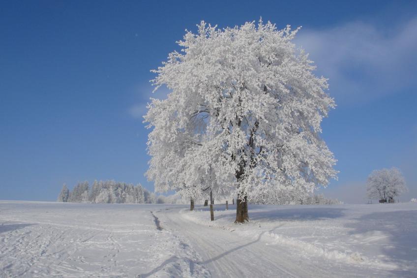 Charmantes, traditionelles Holzhaus - foto 5