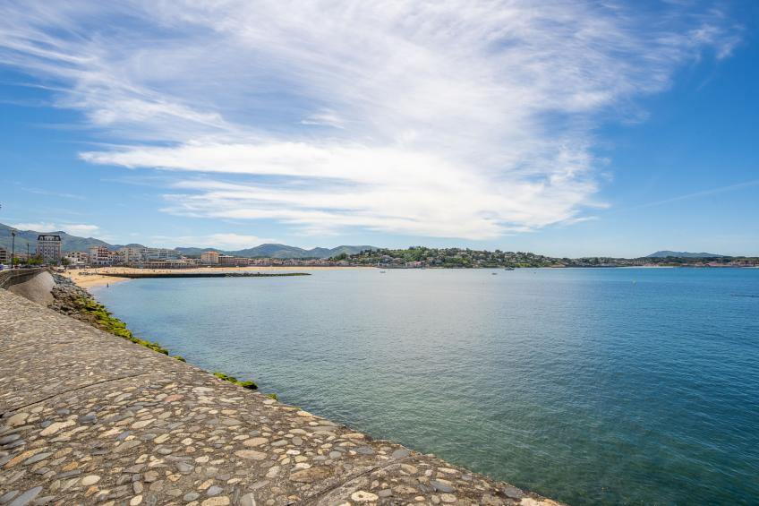 Barasteguia - foto 19