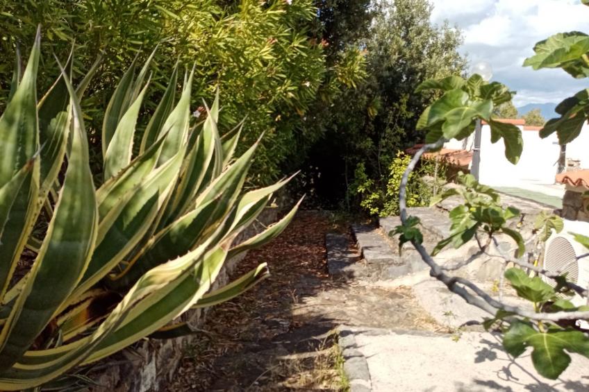 HAUS ELENA - foto 29