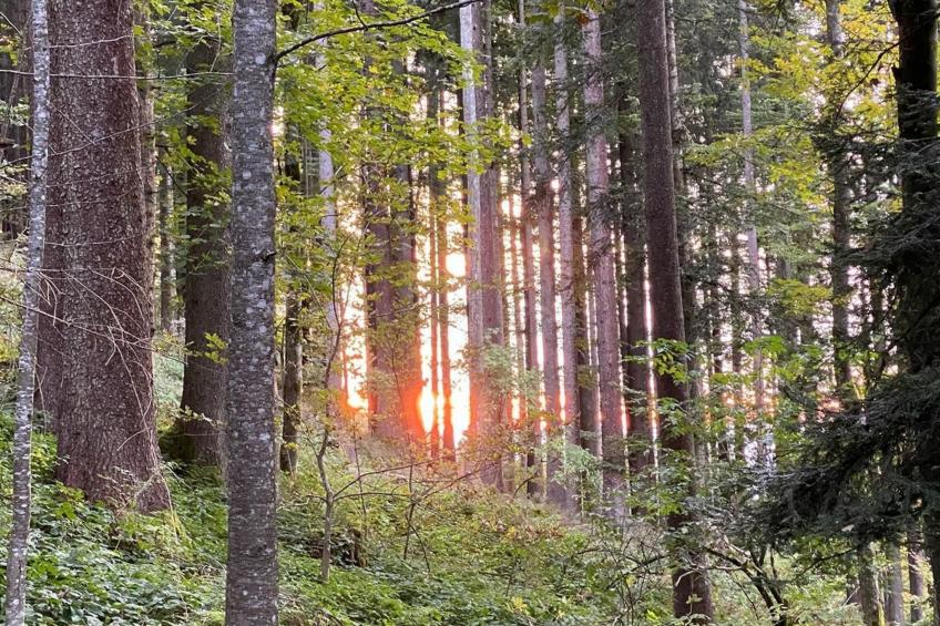 Alpakahof Ferien - foto 53