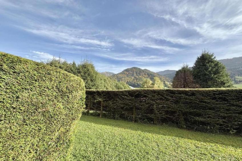 Les Portes de Megève 12 - foto 16