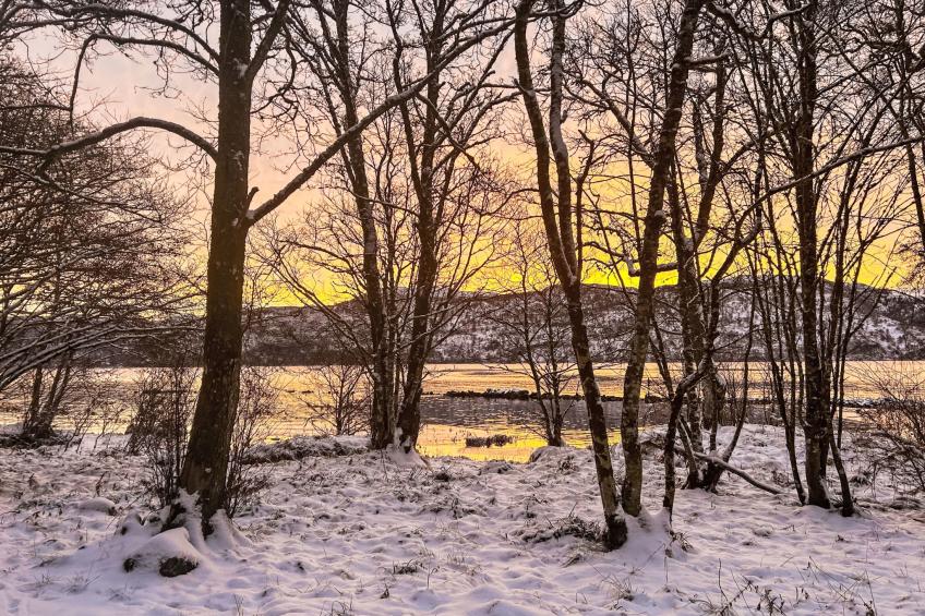 Loch Ness Granary - foto 40