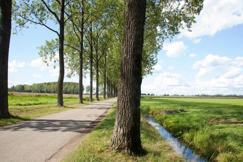 MarinaPark Bad Nederrijn 1 - foto 27