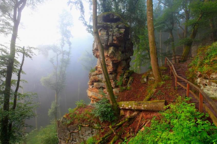 Resort Echternacherbrück 1 - foto 26