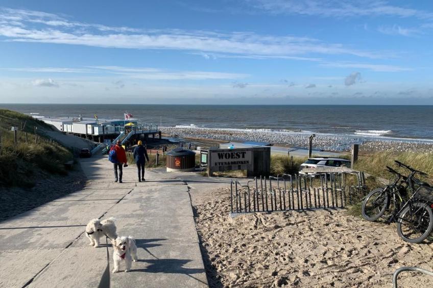 in Dirkshorn - foto 28