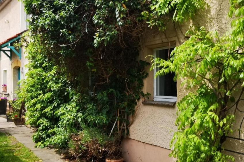 LandurlaubErzgebirge - foto 5