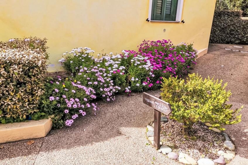 Sardinia Hillside Retreat – Apt 14 - foto 10