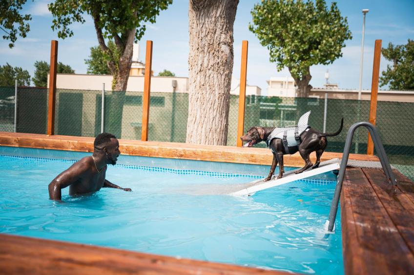 Rimini Family Resort - LODGE dog on request - foto 16