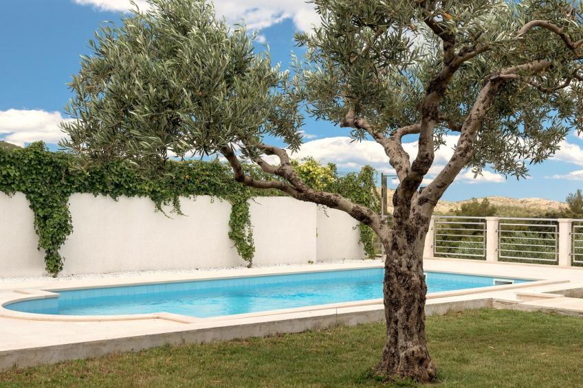 Finca mit Garten, Grill und Terrasse - foto 28